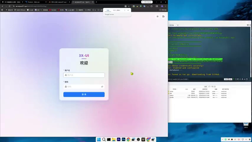 3X-UI 操作截图