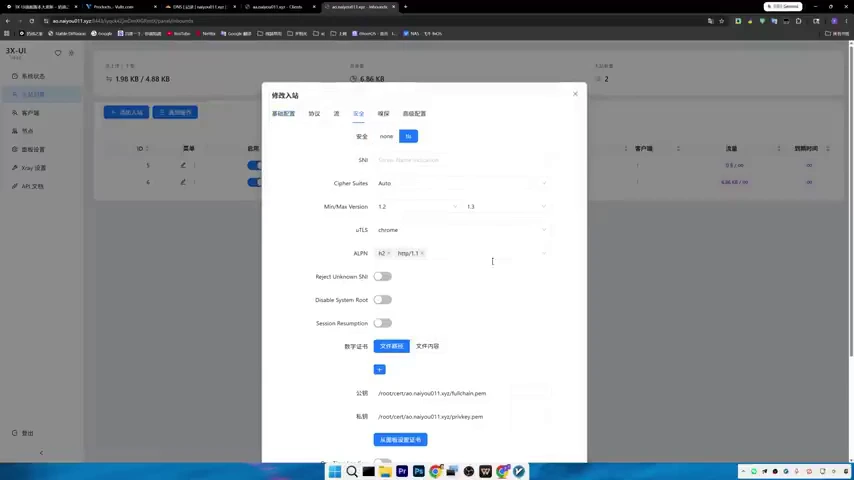 3X-UI 操作截图