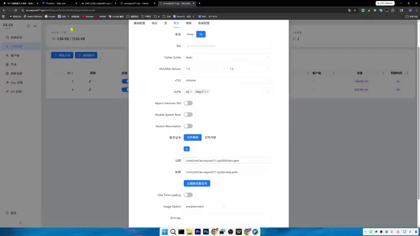 3X-UI 操作截图